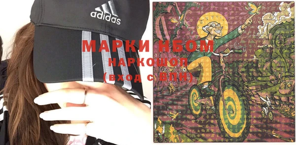 шишки Алексин