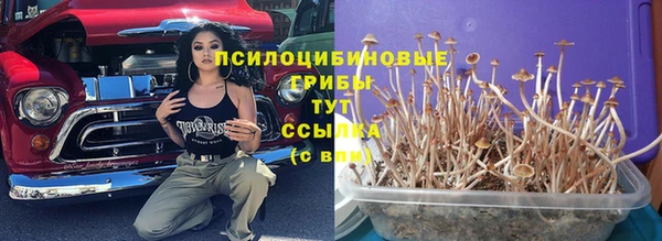 шишки Алексин